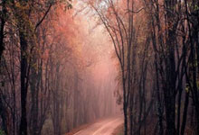 6688体育：全程不失一盘捧杯萨巴伦卡击败佩古拉，生涯首夺迈阿密站冠军.