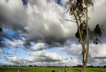 镜报:联赛和欧冠纷纷出局,足总杯冠军成瓜迪奥.