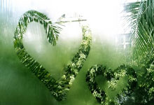 镜报:联赛和欧冠纷纷出局,足总杯冠军成瓜迪奥.