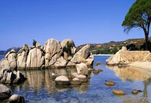 柯丝蒂·考文垂，国际奥委会第一位女主席来了.